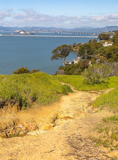A picturesque coastal trail with sea views, featuring the Richmond-San Rafael Bridge.