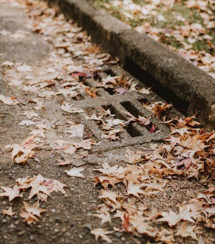 Fallen autumn leaves gather around a storm drain on a quiet street.