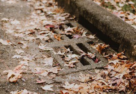 Fallen autumn leaves gather around a storm drain on a quiet street.