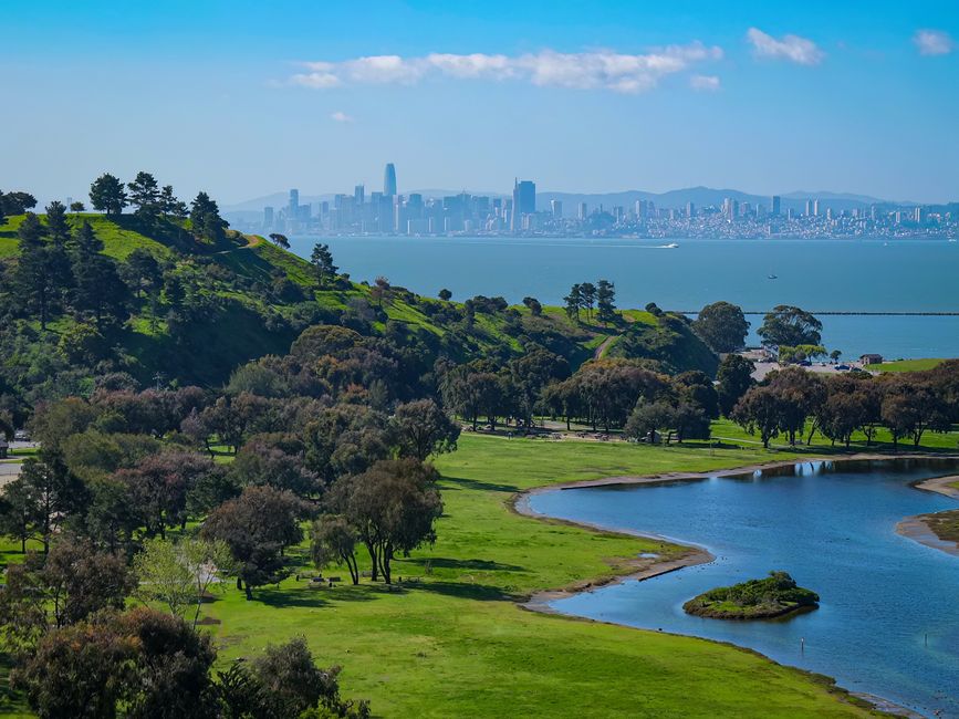 A vibrant aerial view of a green park leading to a city skyline across the bay.