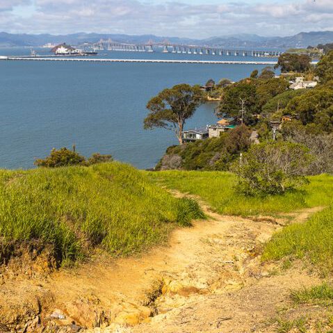 A picturesque coastal trail with sea views, featuring the Richmond-San Rafael Bridge.