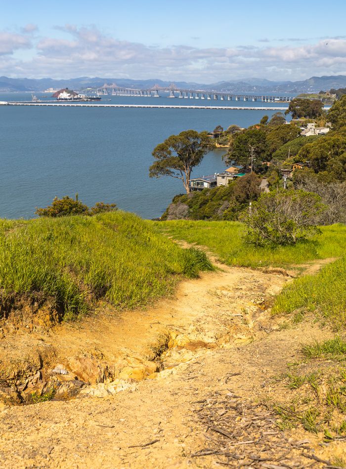 A picturesque coastal trail with sea views, featuring the Richmond-San Rafael Bridge.